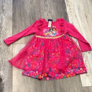 Disney Encanto Pink Floral Character Long Sleeve Dress
